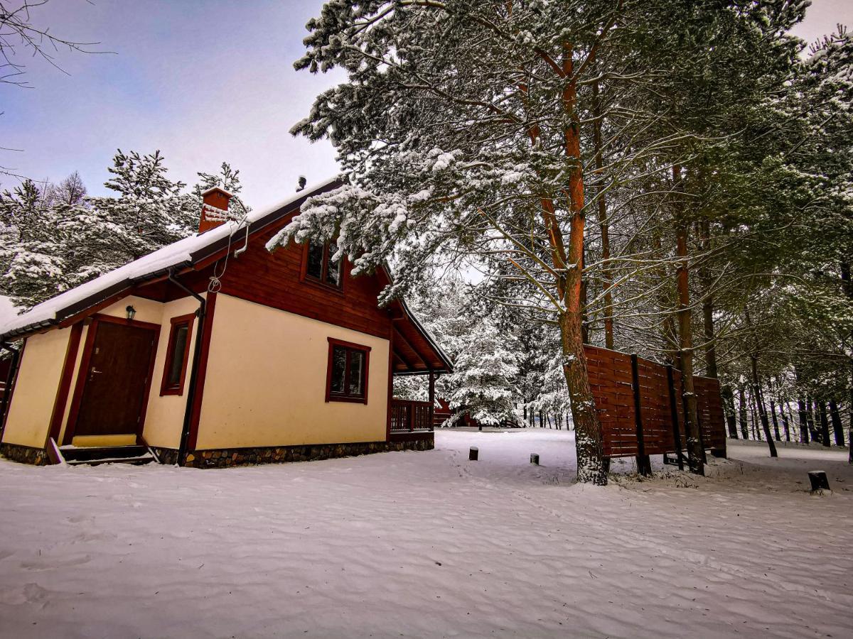 Ostoja Stacze Villa Kültér fotó